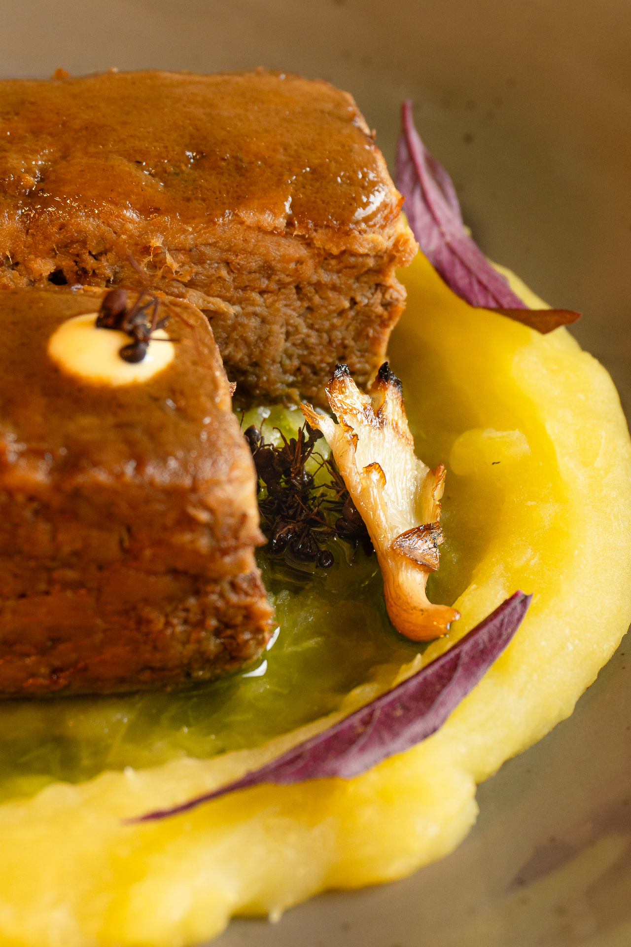Plato Alta Cocina Amazónica